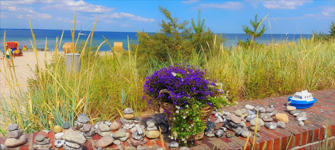 Skipper Appartements Niendorf  Zewnętrze zdjęcie